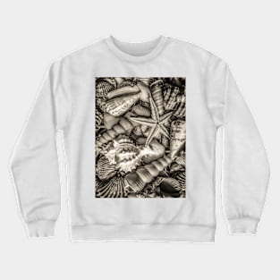 Travel Summer Sea Shell Starfish Crewneck Sweatshirt